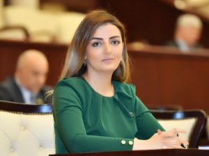 Millət vəkili: “Fransa həmsədrlik missiyasının bütün prinsiplərini pozur”