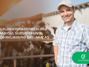 “Gələn aydan fermerlərə məhsul subsidiyasının ödənilməsinə başlanacaq”