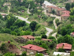 Daha 83 sakinin Laçına köçür