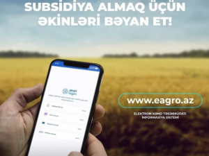 AKİA-dan fermerlərə çağırış: “Payızlıq əkinlər noyabrın sonunadək bəyan edilməlidir”