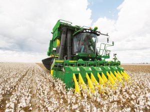 Azərbaycanda pambıq yığımında növbəti rekord göstərici qeydə alınıb – OPERATİV MƏLUMAT