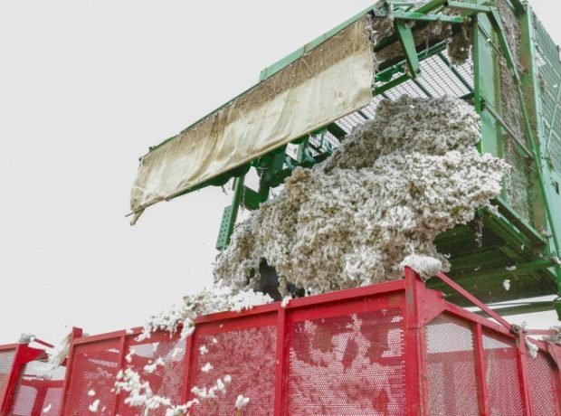 “Ağdamın keçmiş təmas xəttinin sıfır nöqtəsində yerləşən kəndlərində pambıq yığımına başlanıldı”- FOTOLAR