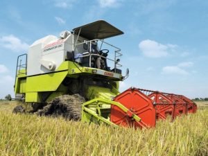 2020-ci ildə çəltikçilikdə orta məhsuldarlıq göstəriciləri yüksəlib