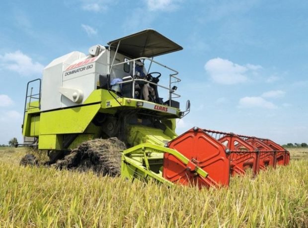 2020-ci ildə çəltikçilikdə orta məhsuldarlıq göstəriciləri yüksəlib