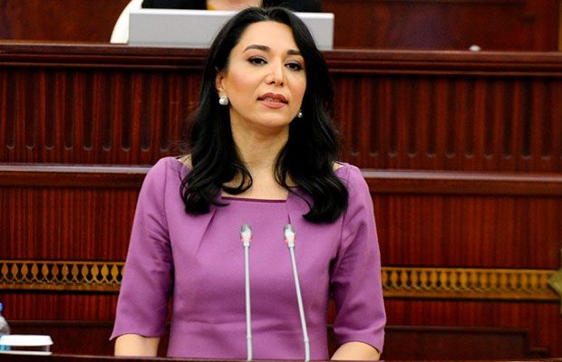Ombudsman hesabat hazırladı