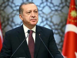 Ərdoğan dağıntılardan çıxarılan Elifdən yazdı