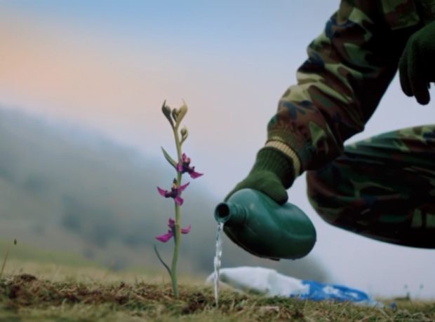 Mədəniyyət Nazirliyi “Xarı bülbül” adlı videoçaxr hazırlayıb