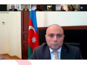 Anar Kərimov İsveç səfiri ilə onlayn görüş keçirib