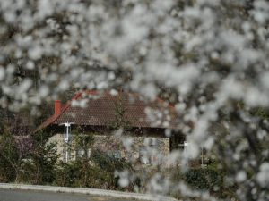 Sabah hava küləkli olacaq