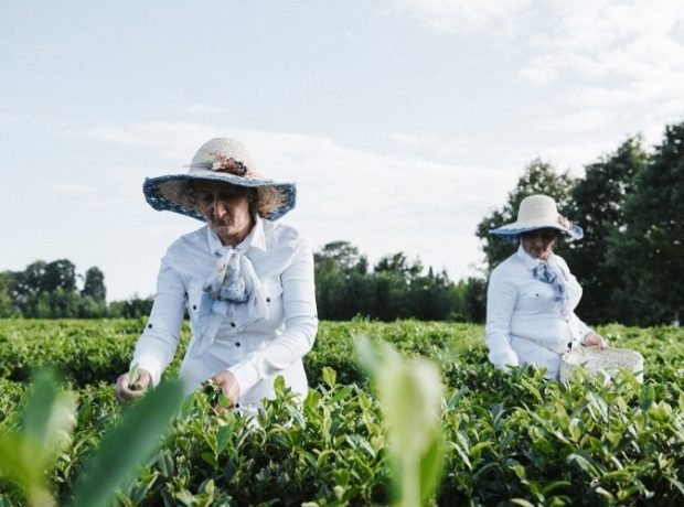 “Aqrar məsləhət xidmətlərinin gücləndirilməsi” layihəsi çərçivəsində seminar keçirilib