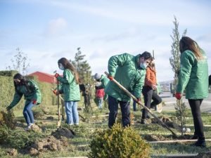 Aqrar İnkişaf Könüllüləri Abşeronda şəhidlərin xatirəsinə həsr olunmuş ağacəkmə aksiyası keçiriblər FOTOLAR