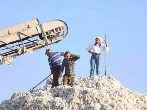 Kənd təsərrüfatı sahəsində fəaliyyət göstərən şəxslərlə bağlı qərar verildi