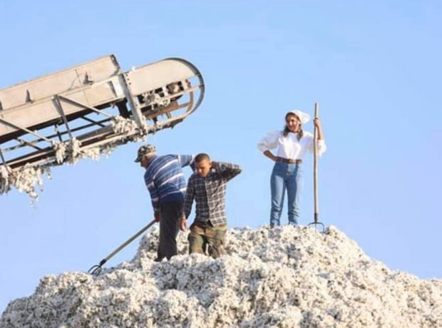 Kənd təsərrüfatı sahəsində fəaliyyət göstərən şəxslərlə bağlı qərar verildi