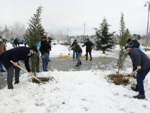 “Davam” ümumrespublika ağacəkmə aksiyası həyata keçirib FOTOLAR