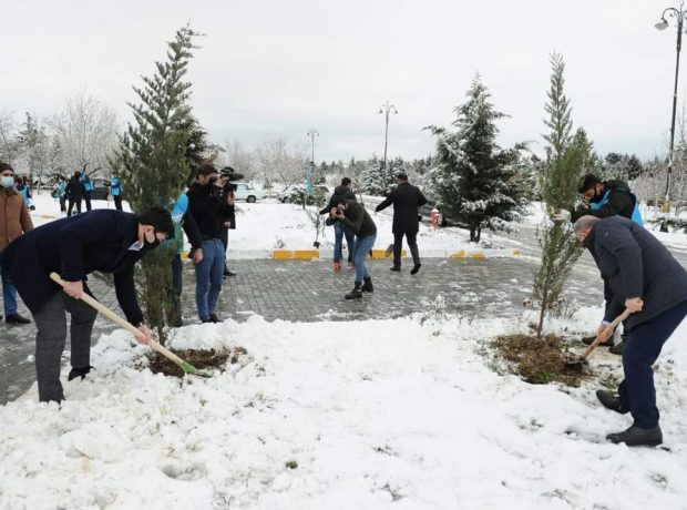 “Davam” ümumrespublika ağacəkmə aksiyası həyata keçirib FOTOLAR