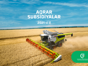 Aqrar Subsidiya Şurası 2021-ci ildə subsidiyaların verilməsi üçün bitkilər və regionlara görə əkin, məhsul və toxum əmsallarını, toxum və ting kvotalarını açıqlayıb