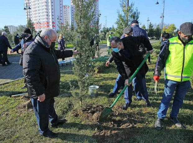 Binəqədi rayonunda Vətən müharibəsi şəhidlərinin əziz xatirəsinə ağacəkmə aksiyası keçirilib. FOTO