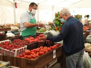 Bakı və Abşeronda “Kənddən Şəhərə” Qış yarmarkası keçiriləcək