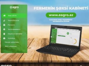 Rayonlarda yerli ərazi icra nümayəndəliklərinin əməkdaşlarına “Elektron notariat” informasiya sisteminə dair təlimlər keçirilir