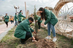 Aqrar İnkişaf Könüllülərinin şəhidlərimizin xatirəsinə həsr olunmuş ağacəkmə aksiyası davam edir FOTOLAR