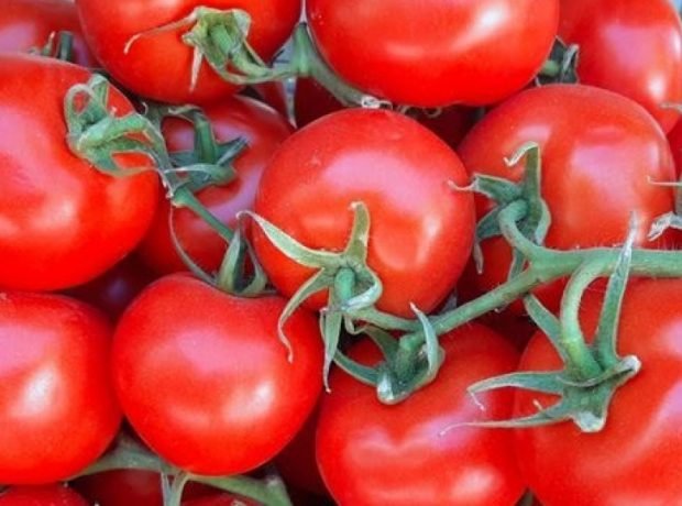 Azərbaycan Qazaxıstana pomidor ixracını bərpa etdi