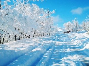 Sabah yollar buz bağlayacaq