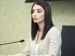 “Ermənistan rəhbərliyi birgəyaşayışı deyil, dar siyasi maraqlarını fikirləşir”