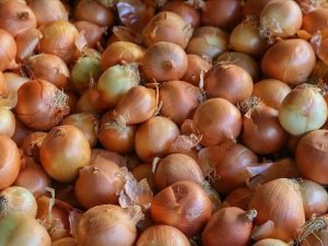 Qazaxıstandan Azərbaycana idxal edilən soğan yararsız çıxdı.