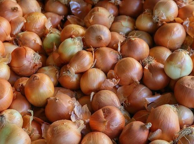 Qazaxıstandan Azərbaycana idxal edilən soğan yararsız çıxdı.