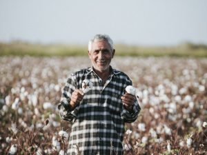 Bitkilərin sığortası üçün müraciətlərin tarixləri açıqlandı