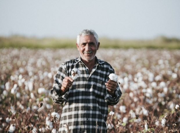 Bitkilərin sığortası üçün müraciətlərin tarixləri açıqlandı