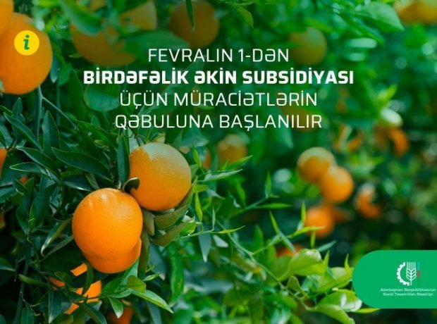 Fevralın 1-dən birdəfəlik əkin subsidiyası üçün müraciətlərin qəbuluna başlanılır