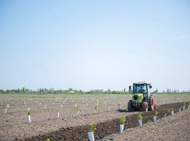 Azərbaycanda aqrar sığorta eksperti olmaq istəyənlər imtahan verəcəklər