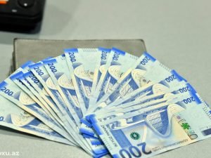 Şəhid ailələrinə və əlillərə birdəfəlik yardım göstərildi