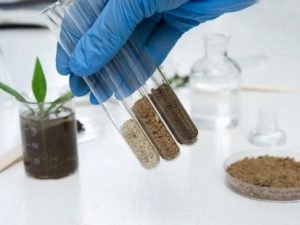 Bu ildən ehtibarən torpaq istifadəçilərinin torpağı üçün aqrokimyəvi analizlərin keçirilməsi nəzərdə tutulub.