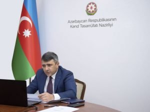 Kənd Təsərrüfatı Nazirliyi pambıqçılığın inkişafı ilə bağlı onlayn müşavirə keçirib. FOTO