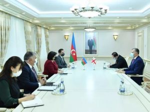 Milli Məclisin Sədri Sahibə Qafarova Gürcüstan səfiri Zurab Pataradze ilə görüşüb