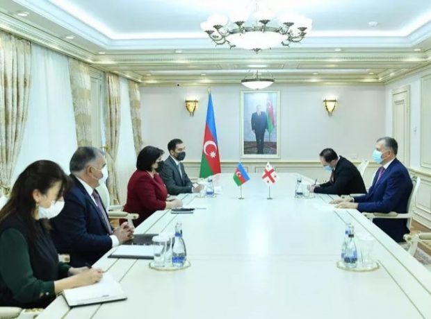 Milli Məclisin Sədri Sahibə Qafarova Gürcüstan səfiri Zurab Pataradze ilə görüşüb