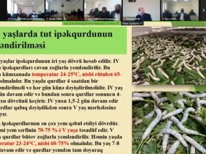 Baramaçılığın səmərəli təşkili istiqamətində onlayn təlim proqramına start verilib.