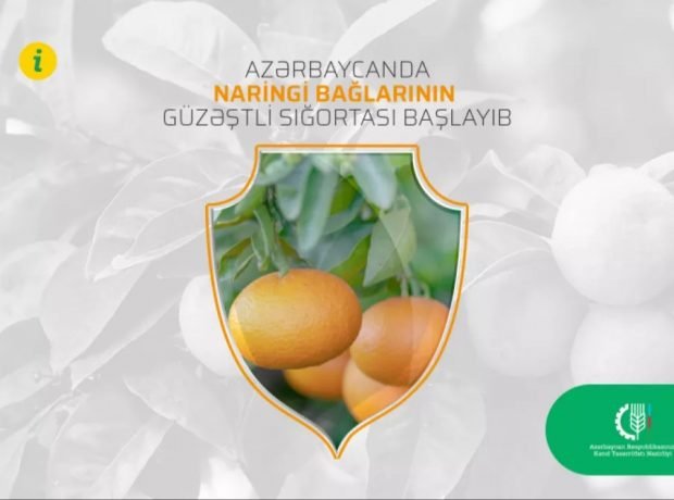 Naringi bağlarının güzəştli sığortası başlayıb