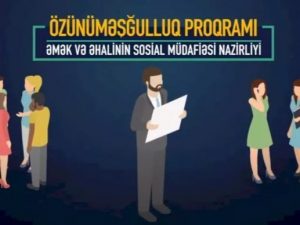 Əmək və Əhalinin Sosial Müdafiəsi Nazirliyi “Məşğulluğa Dəstək Layihəsi” üzrə müraciətlərin qəbuluna başlayıb