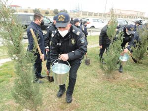 Agac əkmə aksiyasında polislərdə iştirak etdi – FOTOLAR