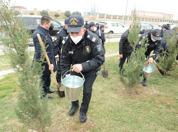 Agac əkmə aksiyasında polislərdə iştirak etdi – FOTOLAR