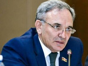 “Elə zənn edirlər ki, yaxalarında “Press” yazılmış vəsiqə varsa, istənilən yerə gedə bilərlər” – Əflatun Amaşov