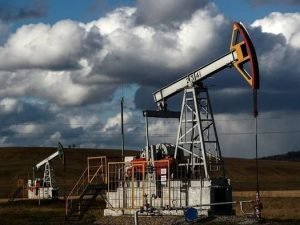 image-1610093393_5932695