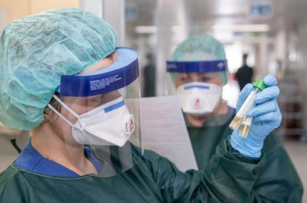 image-1615552600_koronavirus