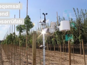 image-2zypwypunkcwdiota87seyhp9djzjlhfrkev83xp