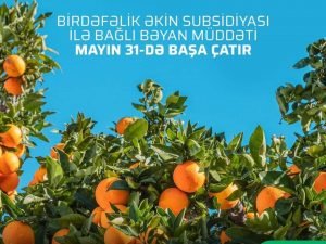 image-fb_img_1617200277353