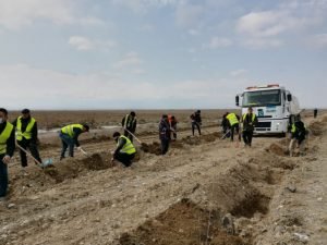 image-g5nm7a6jq4m2f0qs0pnqcd8ik2erkxgtpyks9vqt