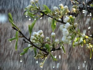 image-1589712168_659f9a95-fb4a-4bcd-ade6-cbbbde859a87